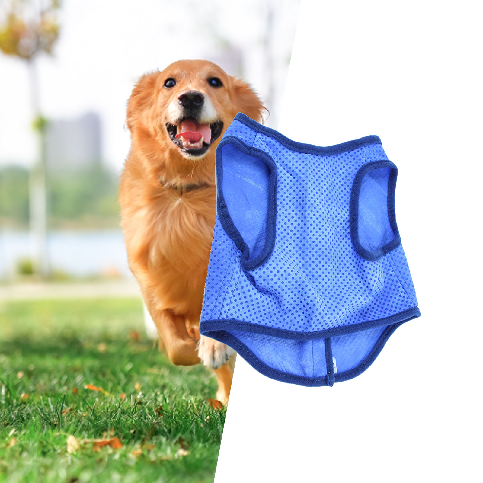 Dog Cooling Vest Breathable Su – обзор и цена Outdoor Sport Coat