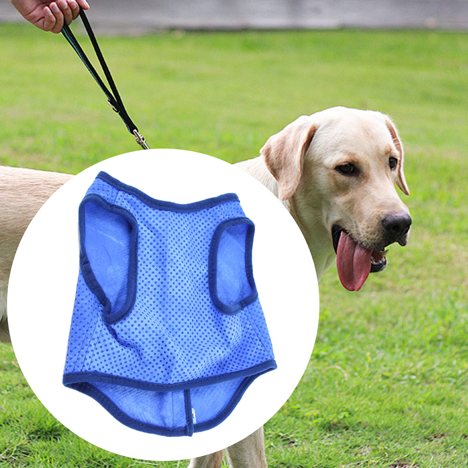 Dog Cooling Vest Breathable Su – обзор и цена Outdoor Sport Coat