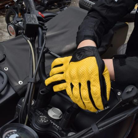 Lightning Metal Logo Motorcycl – обзор и цена Horse Riding Glove