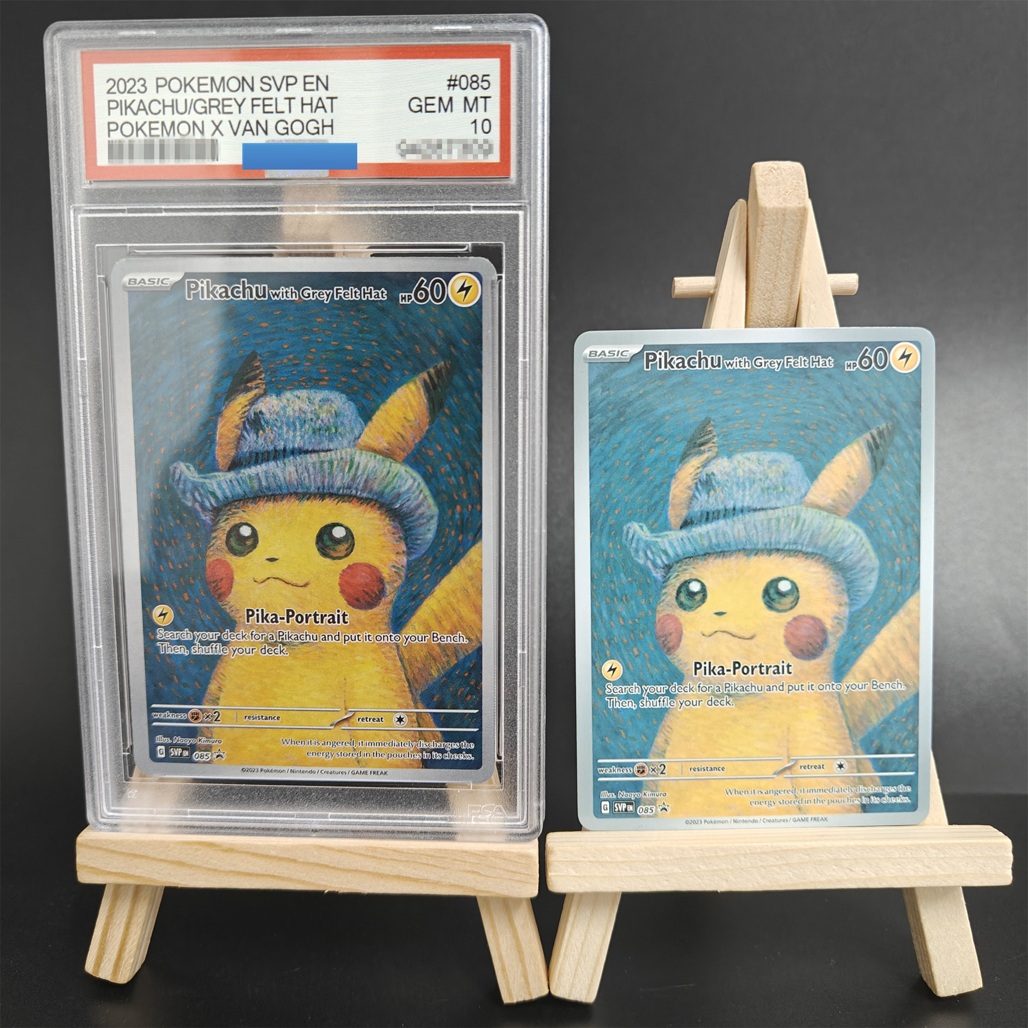 Proxy 2023 PTCG  POKEMON X VAN – обзор и цена Outdoor Sports Accessories