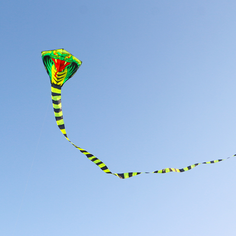 Paradise Bird 8m/15m Snake Kit – обзор и цена Outdoor Sport Outlet